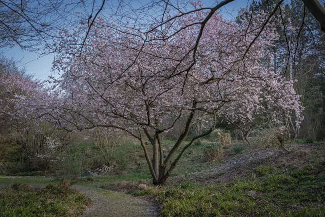 安居公寓