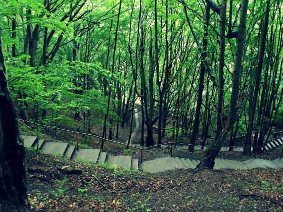 休愛里自然生活公園