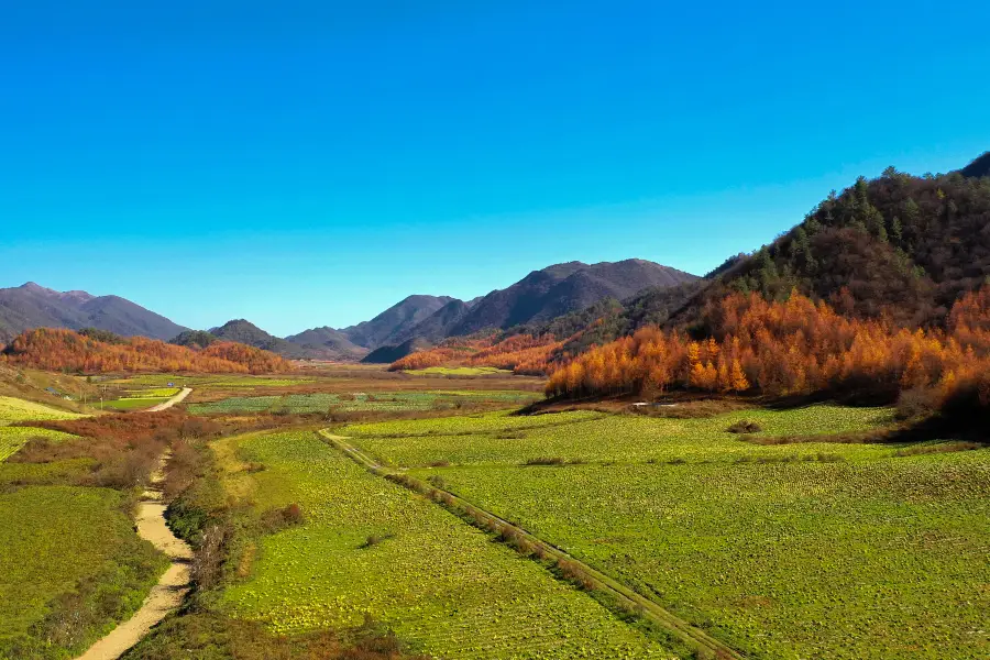 Гаошаньское травоприношение в красном пруду