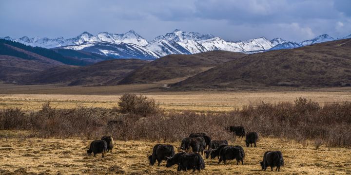 Western District Tourist Ranch