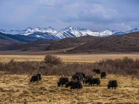 Western District Tourist Ranch