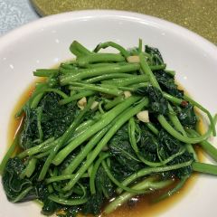 桃緣山莊張用戶圖片