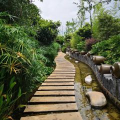 大理地热国酒店·地热国温泉自助餐厅 User Photo