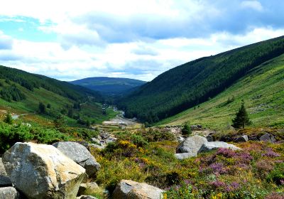 County Wicklow