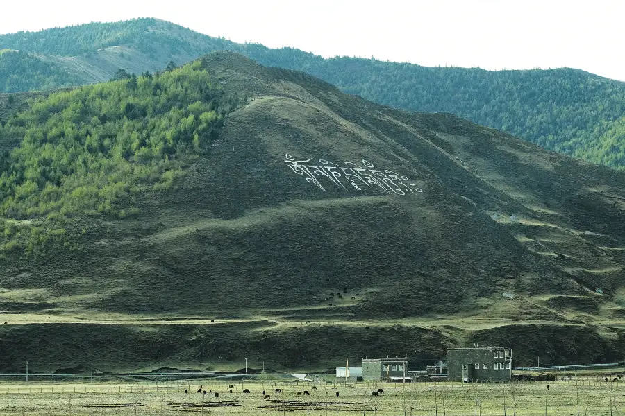 Zongta Grassland