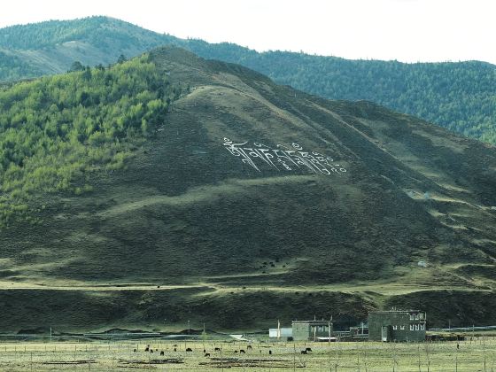 Zongta Grassland