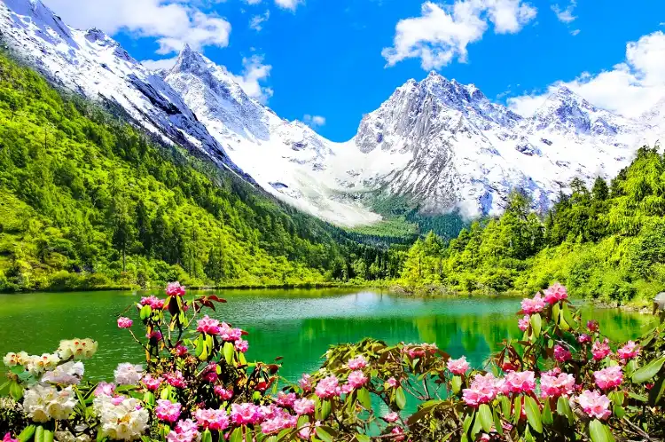 Các khách sạn ở Huyện Lý