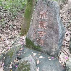 杨小贤(黎塘镇中店) 여행 사진