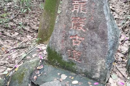 杨小贤(黎塘镇中店)