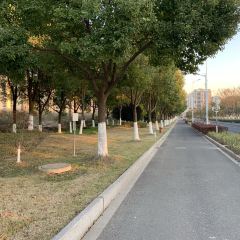 Yimingzhenxiandian (rui'anjiahong) User Photo