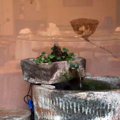 Wu Tong Mei Unique Cuisine User Photo