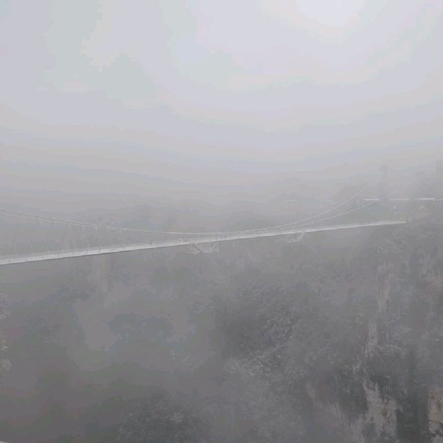 Zhangjiajie Grand Canyon/Glass Bridge