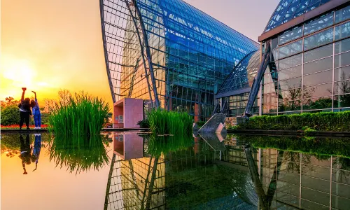 Nanshan Botanical Garden