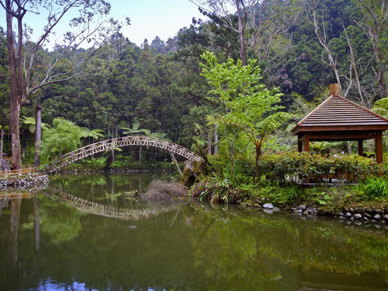 Xitou Nature Education Area