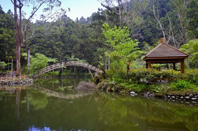Разрешено размещения с домашними животными Отели в г. Наньтоу