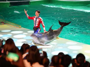 Harbin Polarland·Polarland