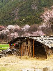 格尼村