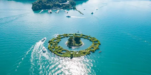 日月潭台灣好行-日月潭線(臺中-日月潭)來回直通車票大小同價