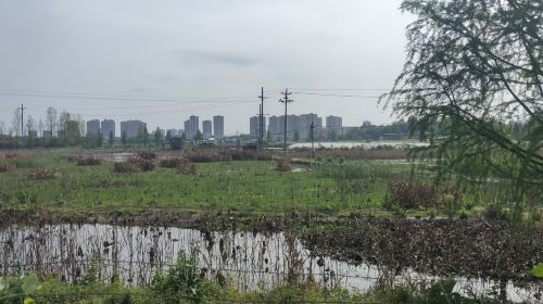 雅美佳湿地公園