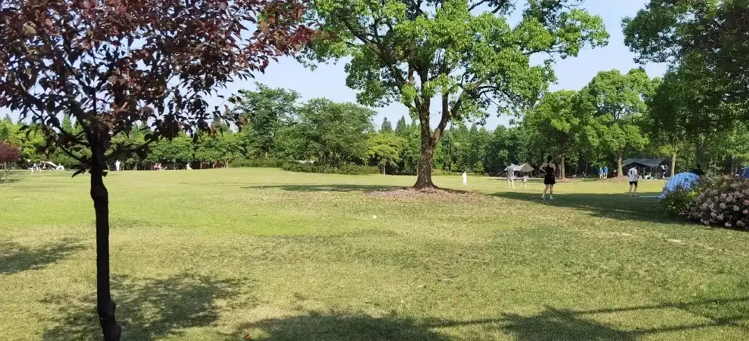 鄰近濱江生態公園的酒店