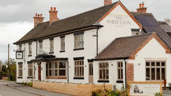 The white lion