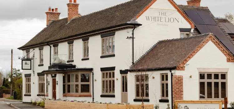 The white lion