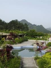 Yifu Mountain Resort