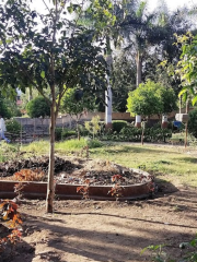 Cannought Garden Chhatrapati Sambhaji Nagar