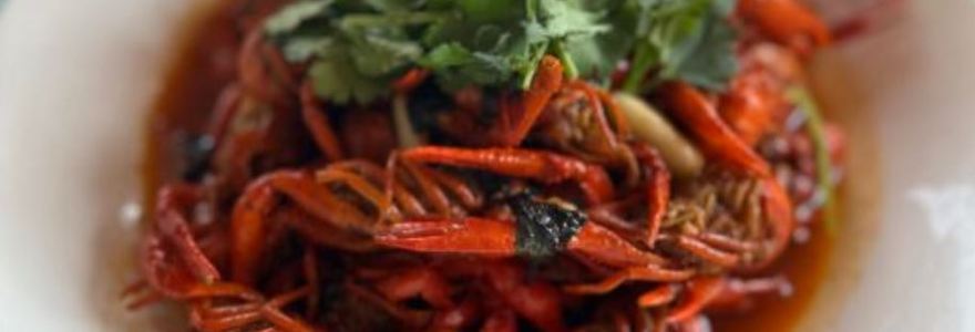 Mi tang wei dao (qingnianxincheng)