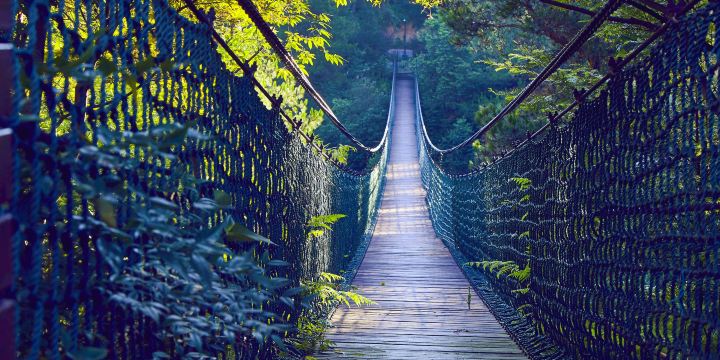 Yaolin National Forest Park