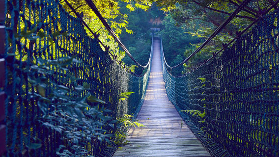 Yaolin National Forest Park