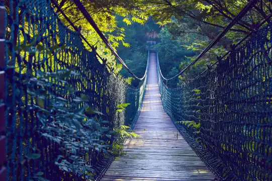 鄰近瑤琳國家森林公園的酒店