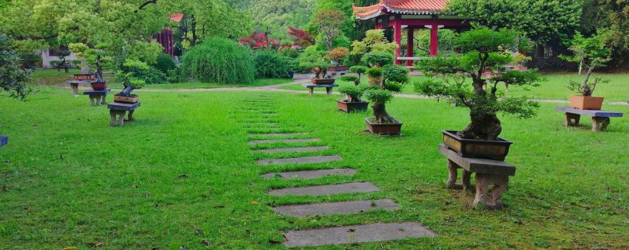 Qingshan Park