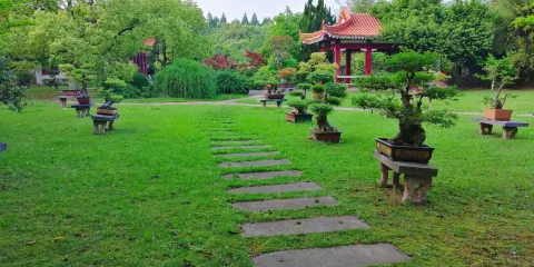 青山公園