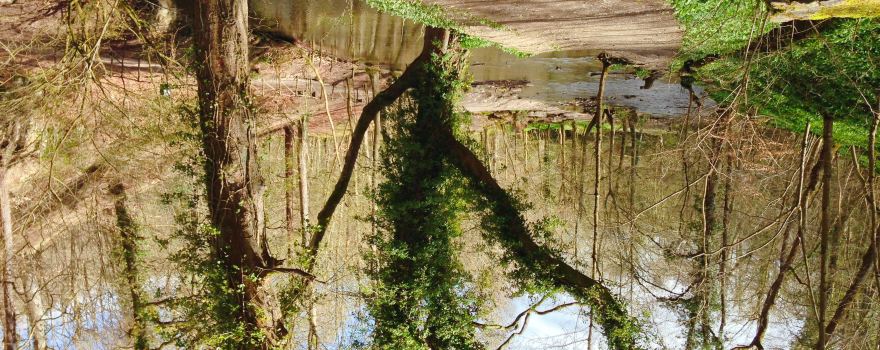 Loggerheads Country Park