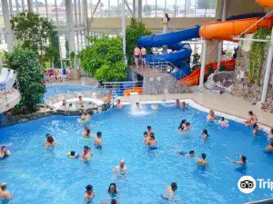 Aquatic Paradise