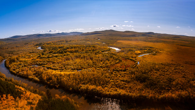 Nine Curves and Eighteen Turns