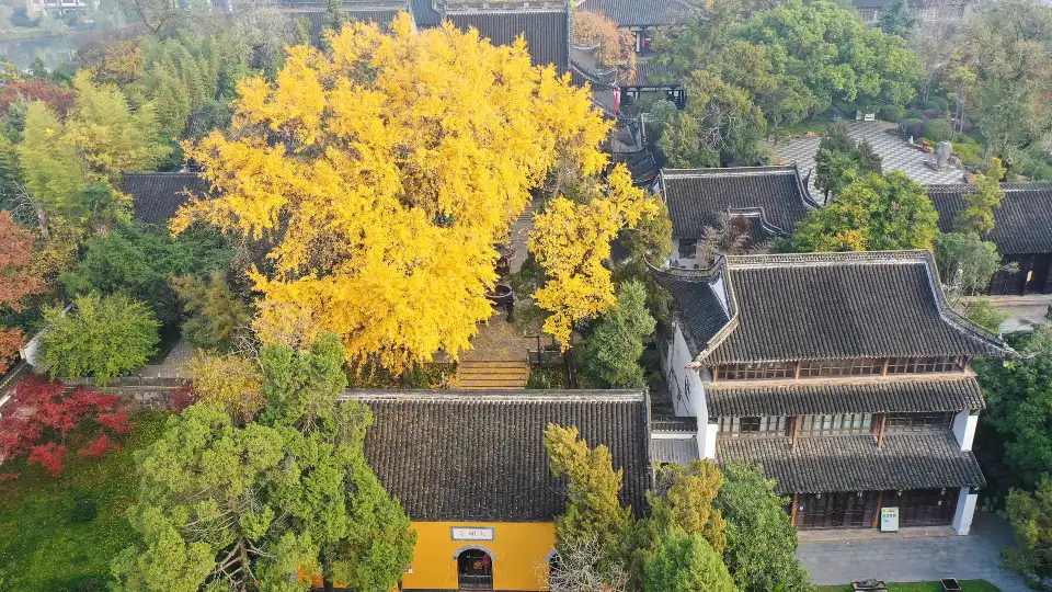 4_Daming Temple