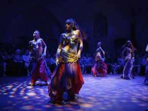 Belly Dance Shows in Türkiye
