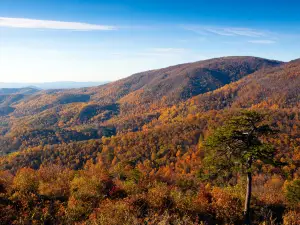 Bacon Hollow Overlook