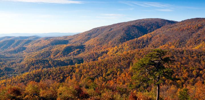 Bacon Hollow Overlook