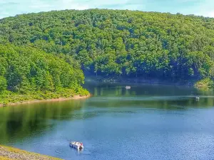Tionesta Recreation Area Campground