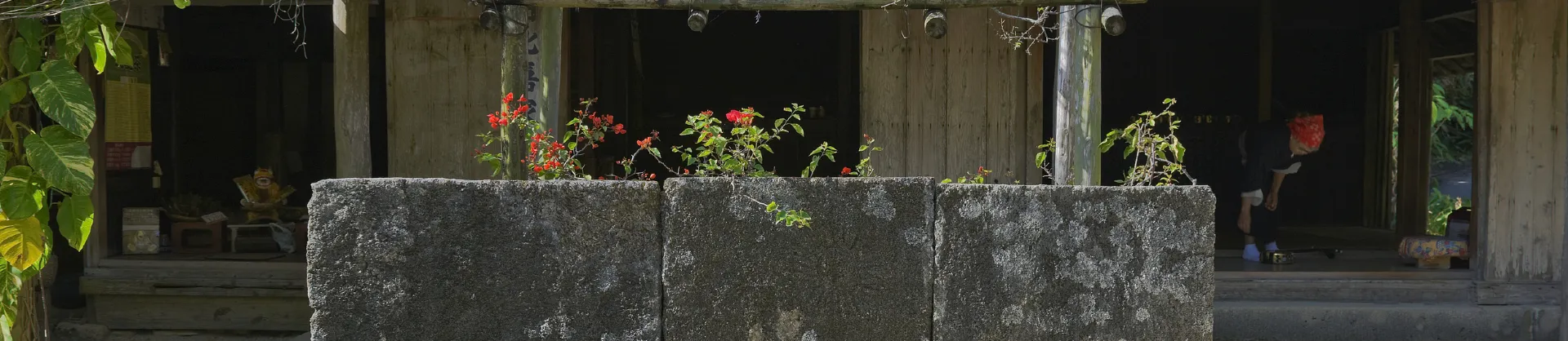 Sites de Randonnée Florale