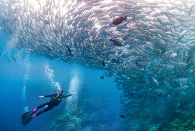 Blue Ocean Dive Centre