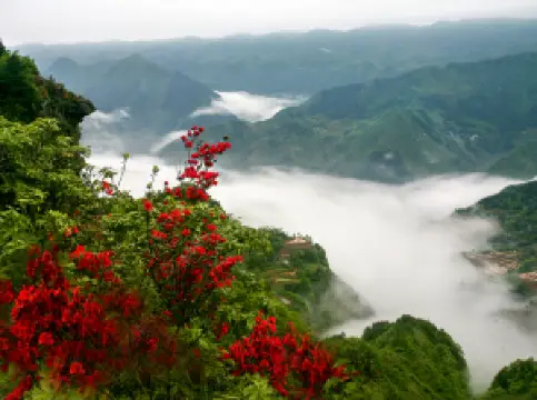 Fioriture Primaverili a Lichuan: le opzioni più popolari