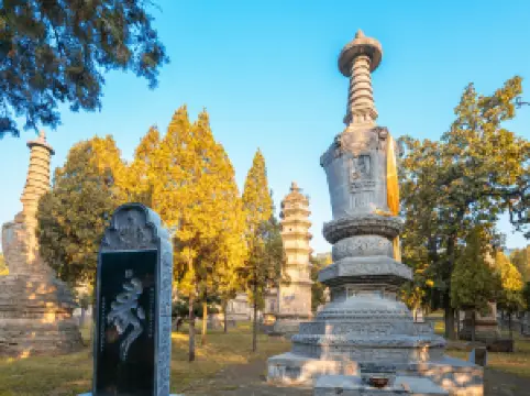 Songshan Shaolin Scenic Area - Pagoda Forest