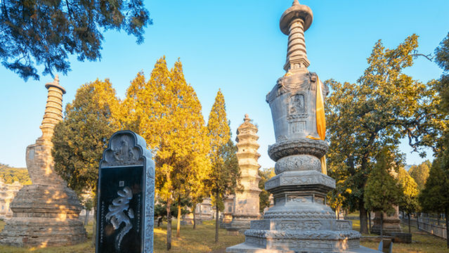 Songshan Shaolin Scenic Area - Pagoda Forest