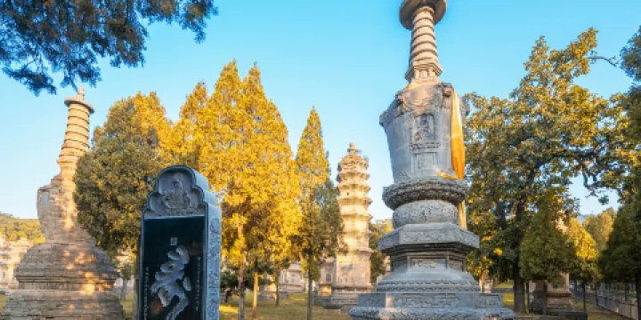 嵩山少林景區-塔林