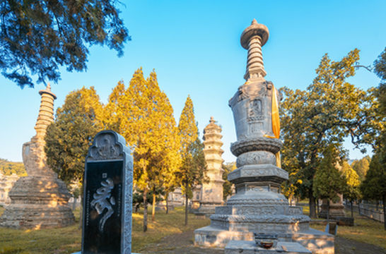 Songshan Shaolin Scenic Area - Pagoda Forest