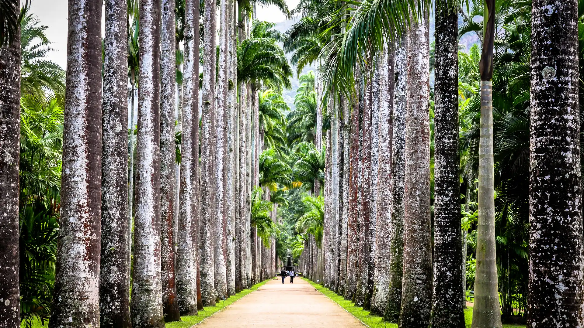 Hotels near Botanical Garden of Rio de Janeiro
